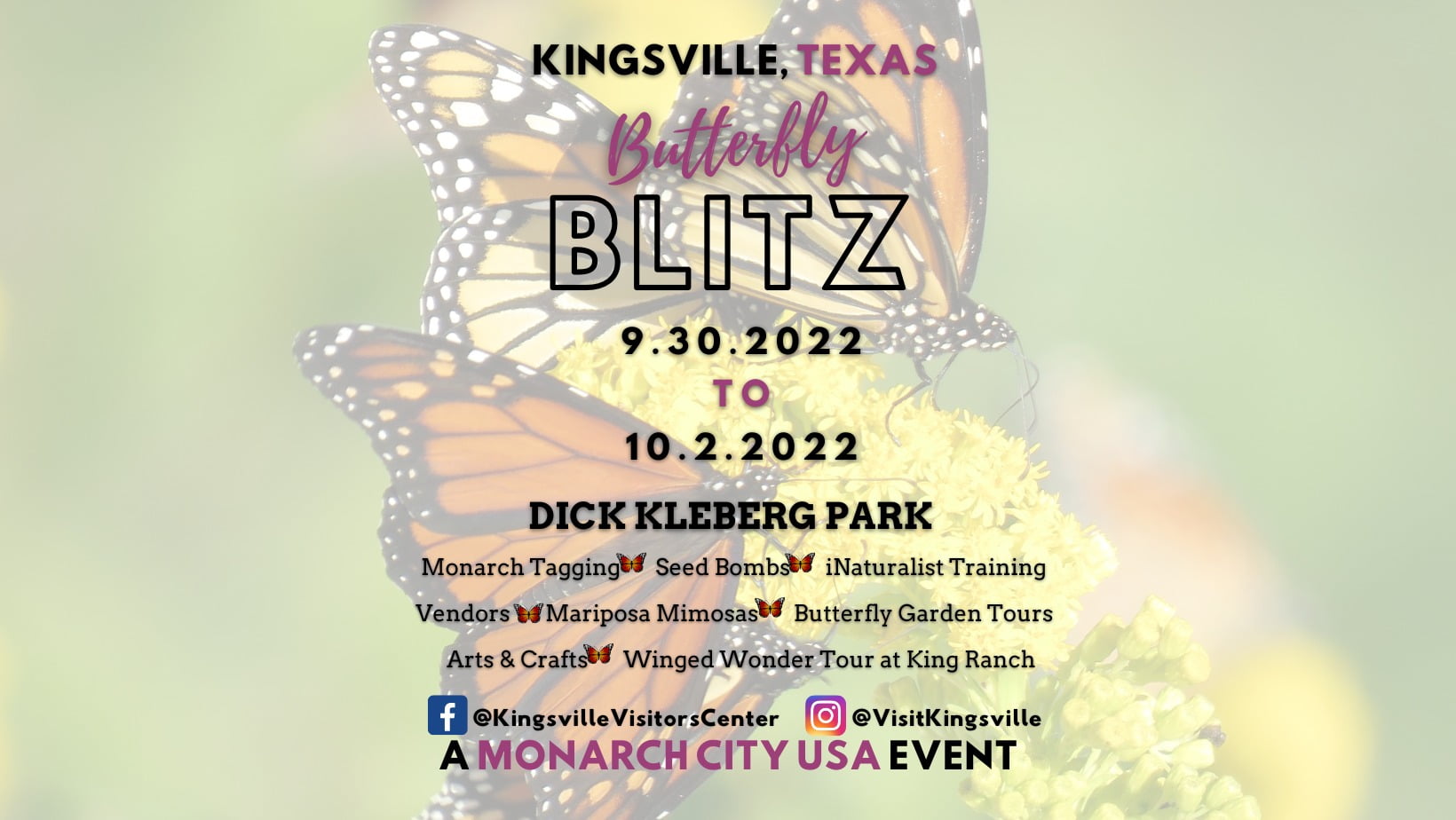 Kingsville Texas Butterfly Blitz