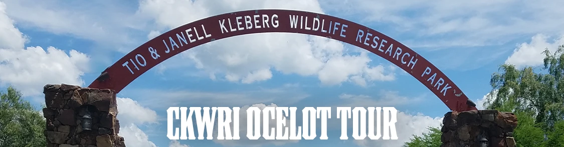 Friday Morning — Wild South Texas: A Private CKWRI Conservation Experience