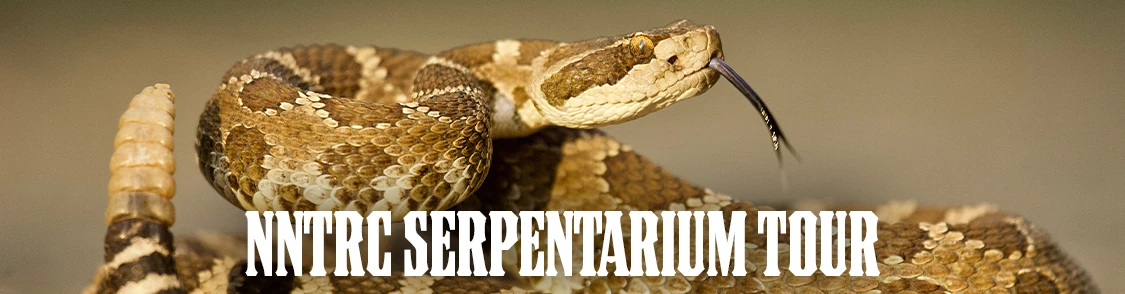 Friday & Saturday — Serpentarium Tour at Texas A&M University–Kingsville